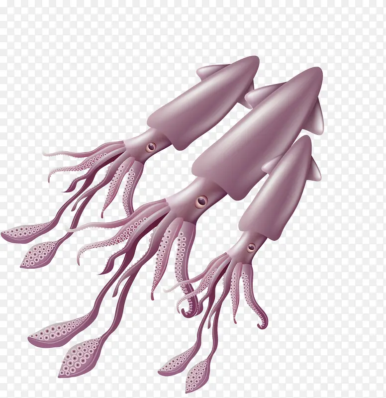 手绘卡通海鲜鱿鱼