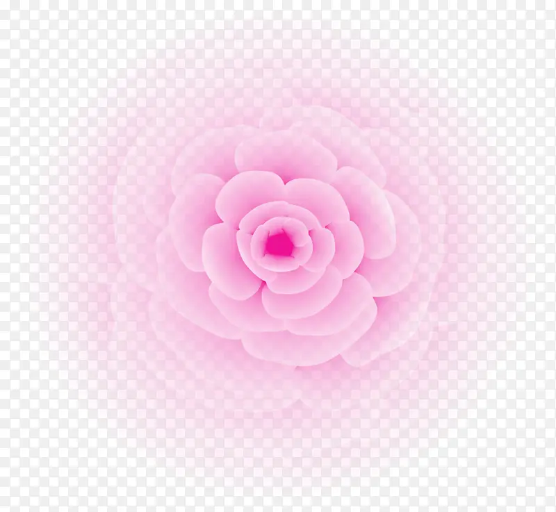唯美粉色花朵