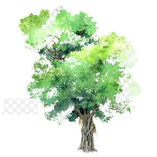 透明树木素材手绘树木素材PNG图片素材下载_图片编号ywbxgkeq-免抠素材网