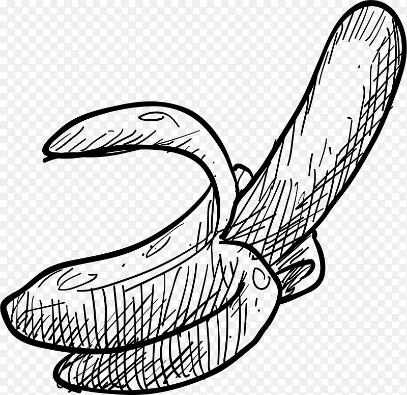 香蕉素描