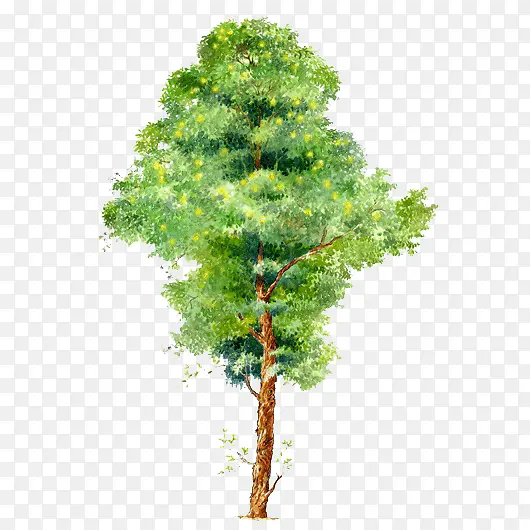 绿色树木图片卡通树木