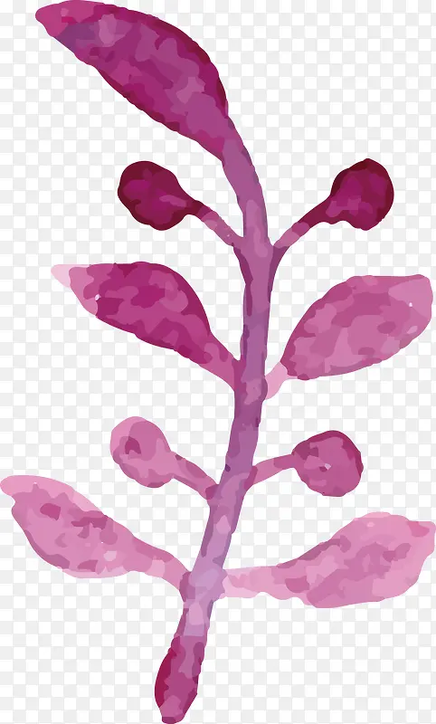 紫色植物矢量装饰