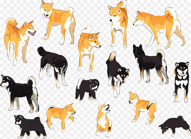 16款彩绘日本四国犬和柴犬矢量
