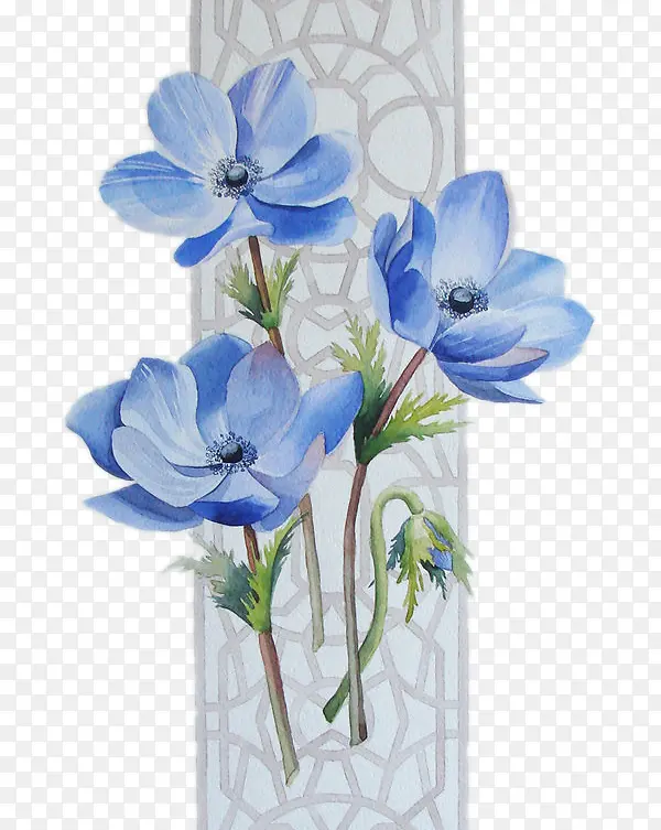 水彩手绘蓝色鲜花和窗框