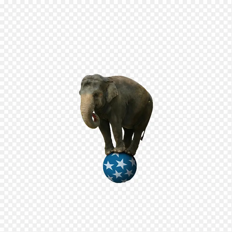 站在球上的大象