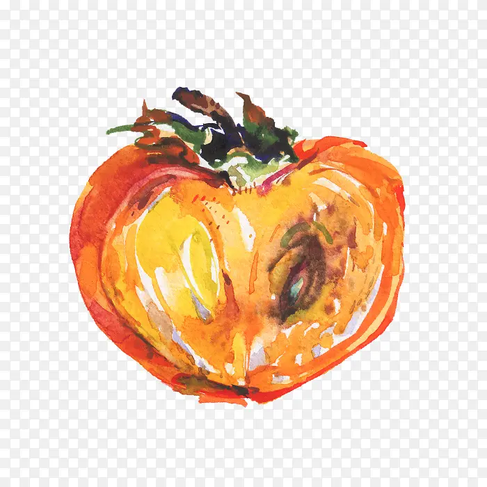 成熟柿子水彩插画