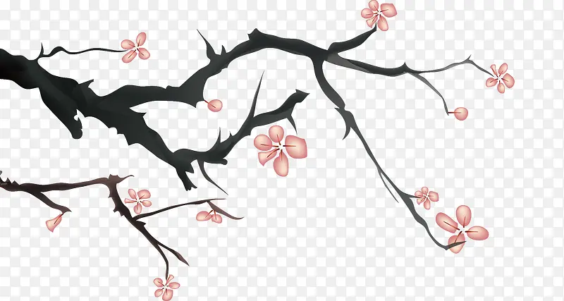 枝干花朵