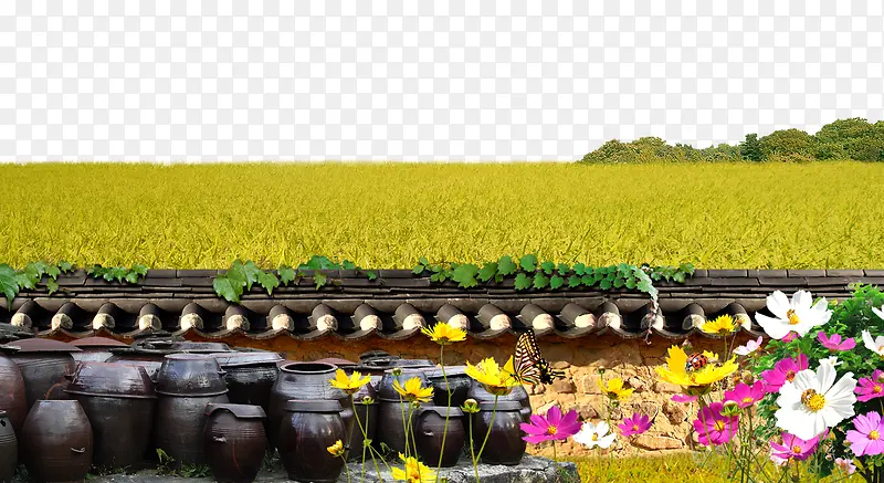 稻田围墙花朵背景