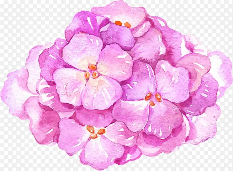 紫色水彩花朵