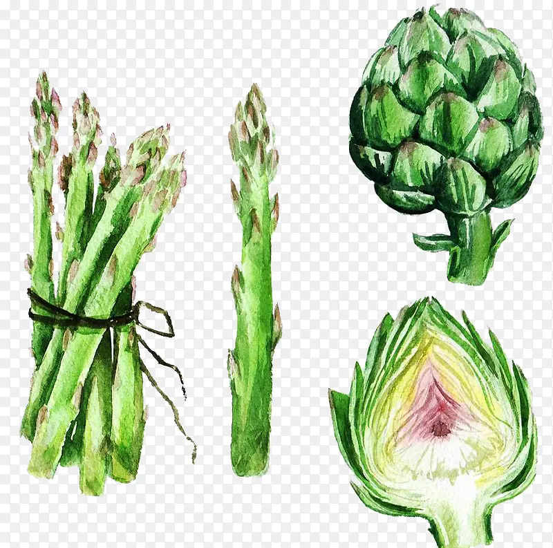 卡通手绘水彩绿色蔬菜芦笋笋头