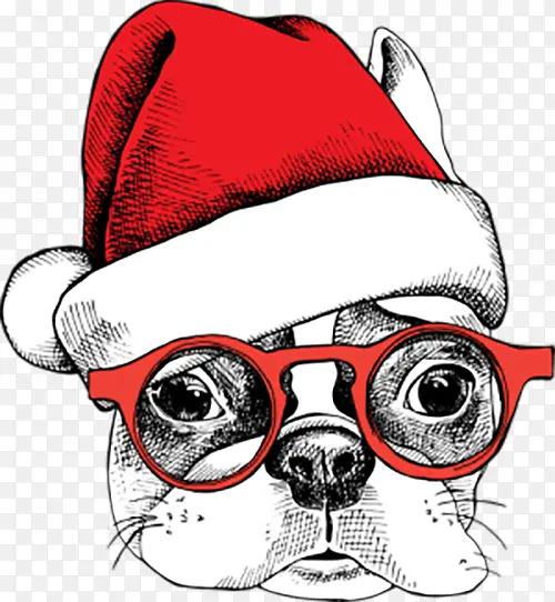 庆祝圣诞节的眼镜狗狗