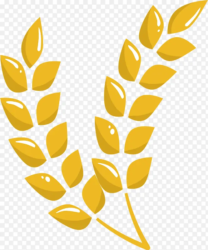 矢量图金黄色小麦