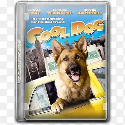 很酷的狗English-movies-icons