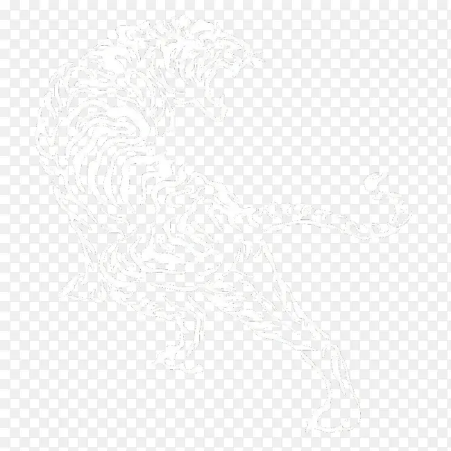 猛虎归山