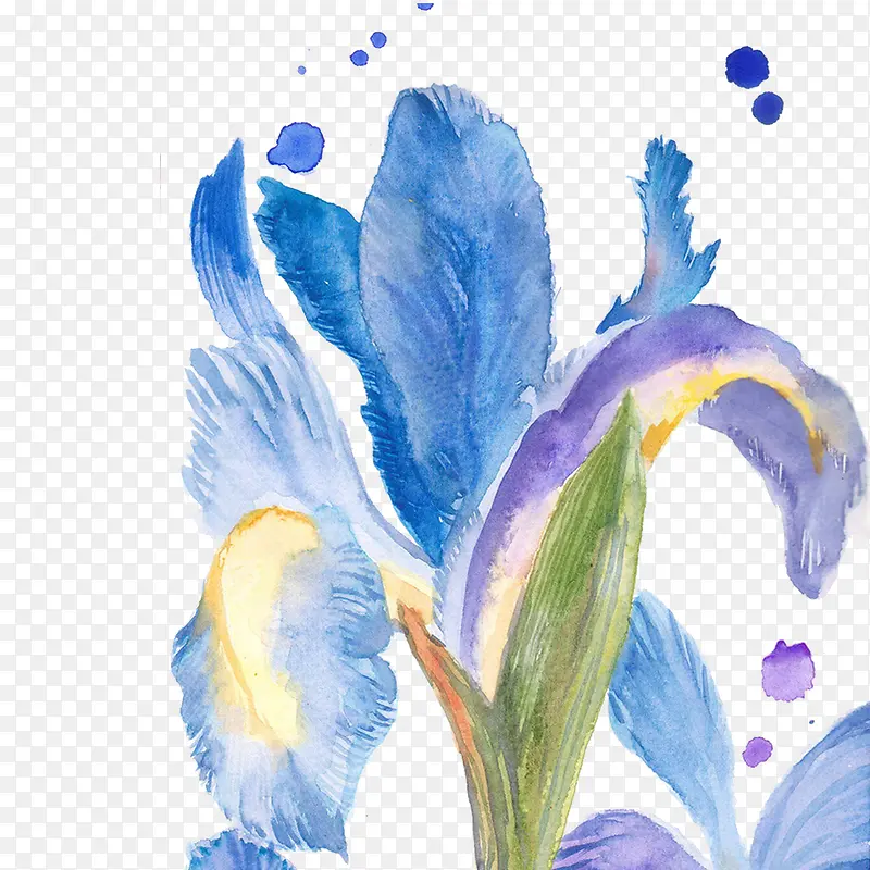 蓝色水仙花彩绘免抠素材