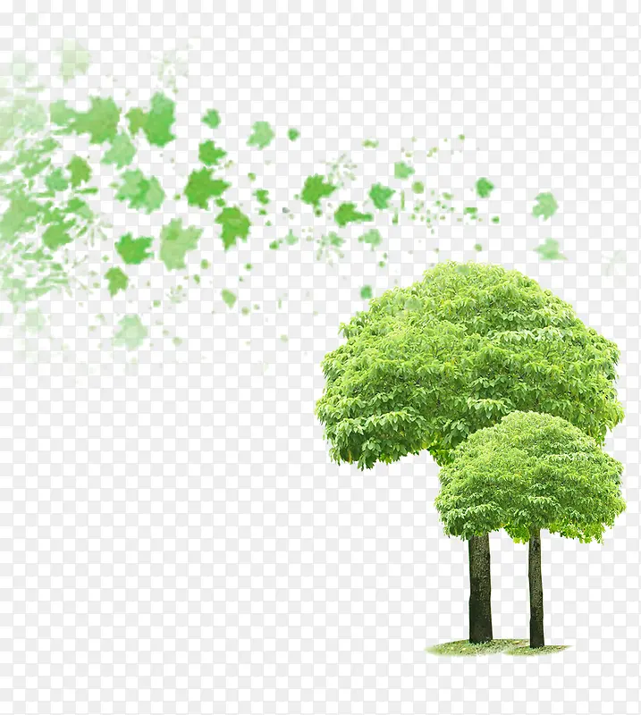 免抠绿色大树树叶装饰