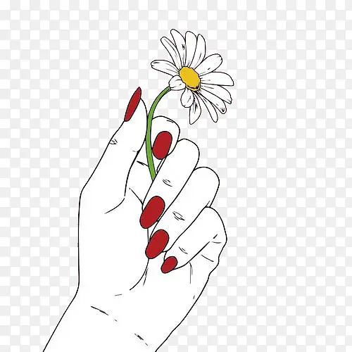 红指甲的手手拿小雏菊