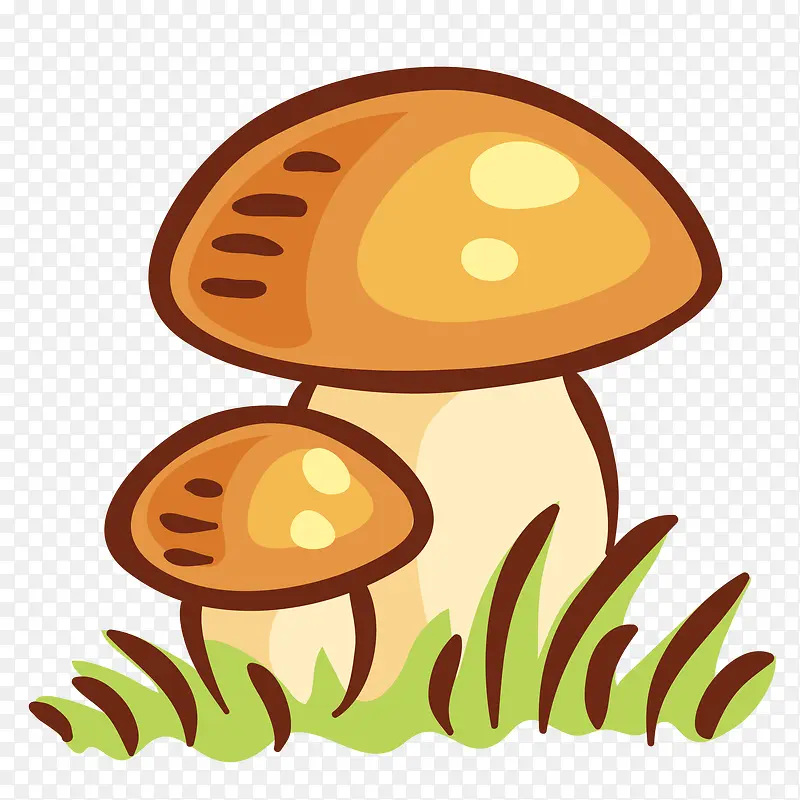 扁平矢量手绘蘑菇