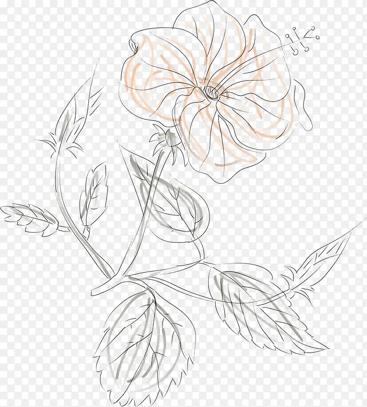 水彩画月季花矢量图
