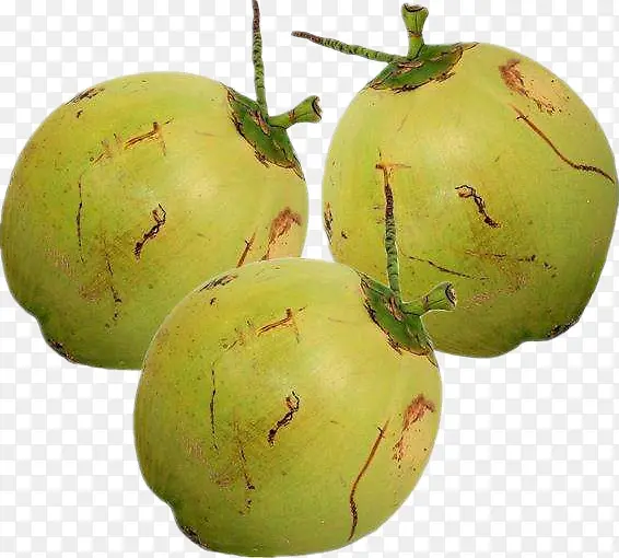 绿色椰子