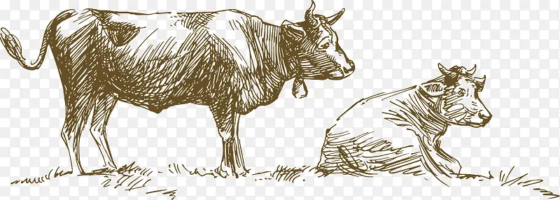 卡通公牛和母牛设计