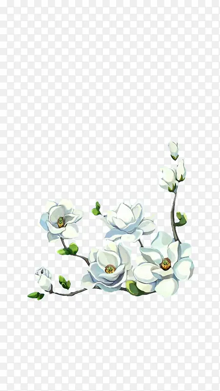 素白的小花