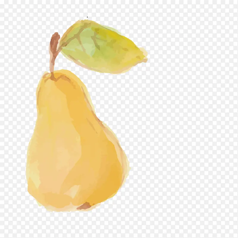 卡通手绘大黄梨水果
