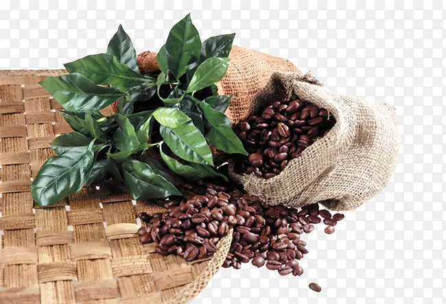 新鲜咖啡豆原料PNG