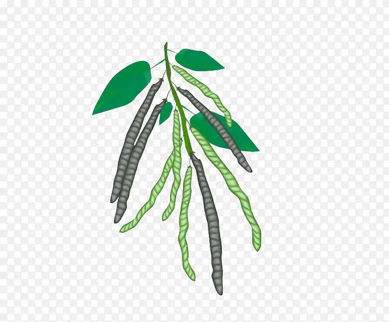 卡通绘画绿豆绿豆夹