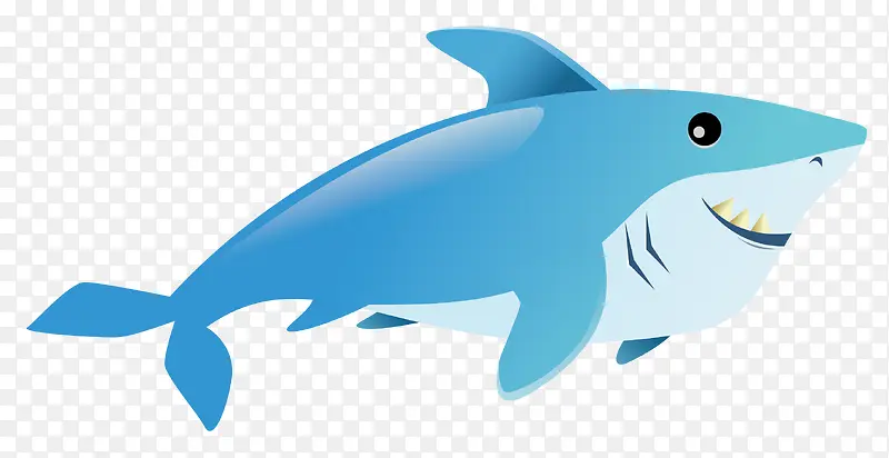 蓝色反光扁平鲨鱼