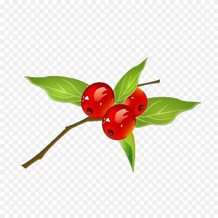 卡通枣子