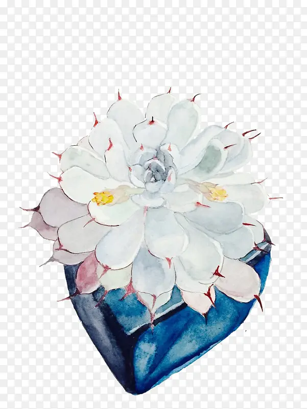 方盆中的白色花