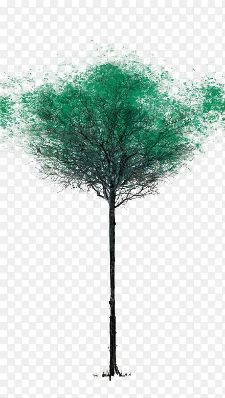 大树低碳元素