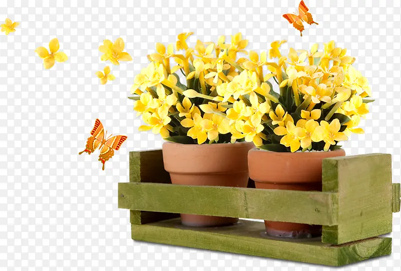 阳台黄色花小盆栽