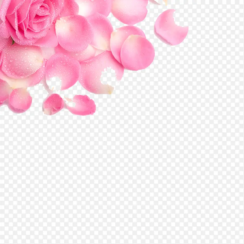 高清唯美粉色花瓣素材