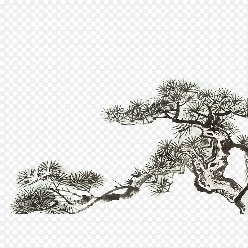 中国风 水墨画 松树