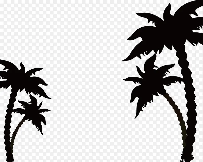 椰子树剪影