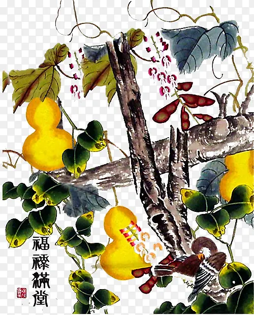中国画彩色葫芦瓜藤藤蔓