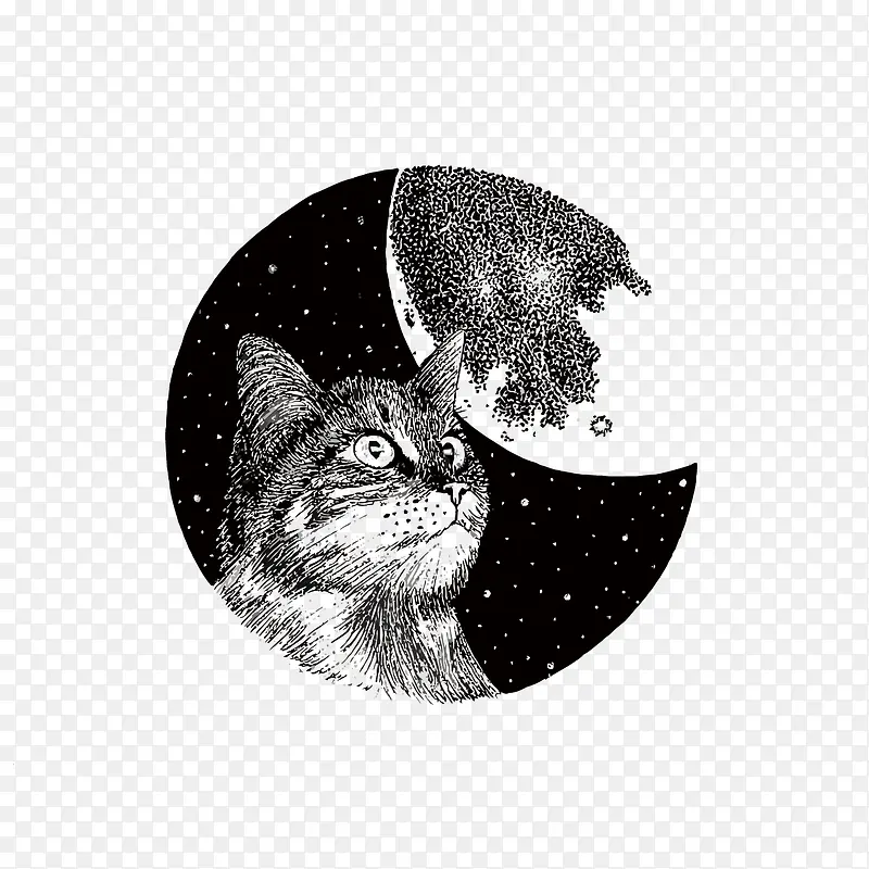 矢量猫咪和月亮