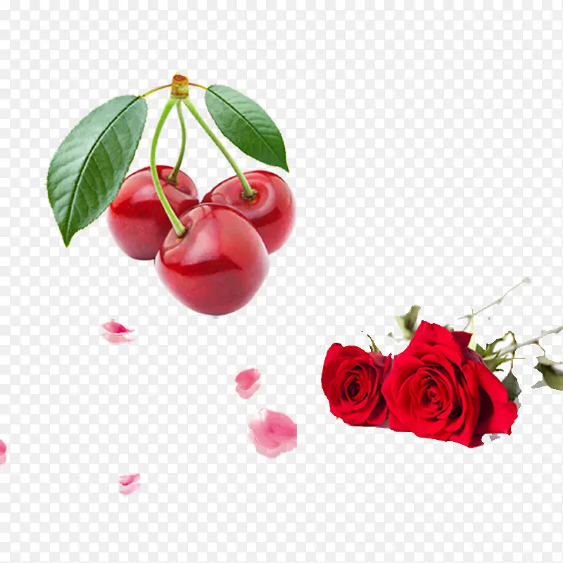 樱桃和玫瑰