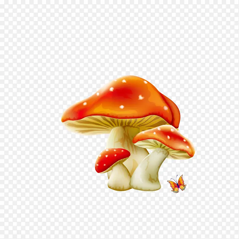 蘑菇 菌类
