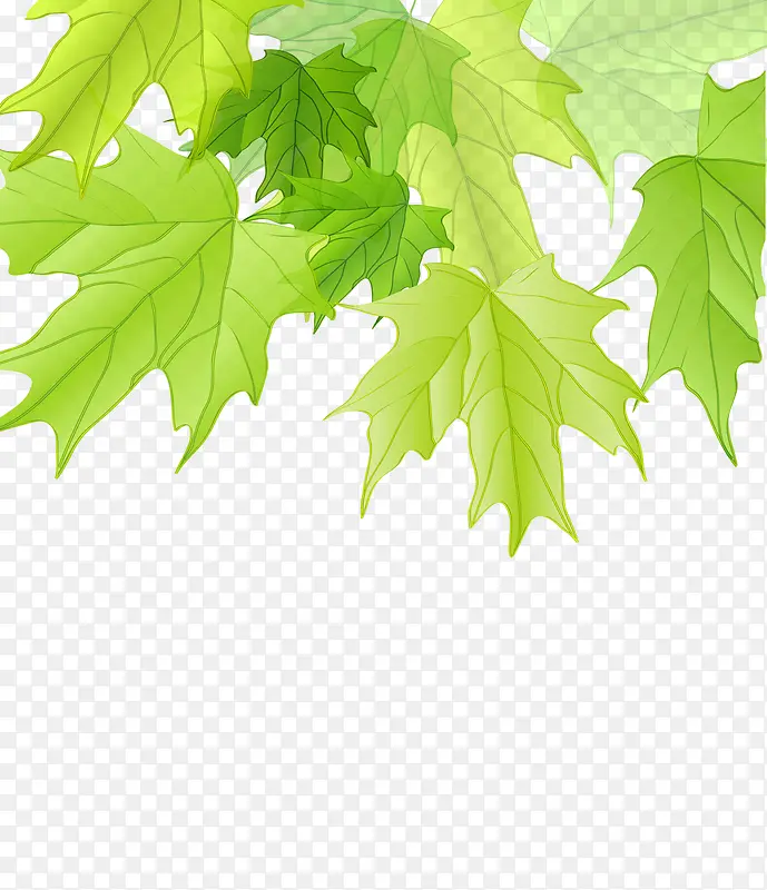 绿色卡通梧桐树叶素材