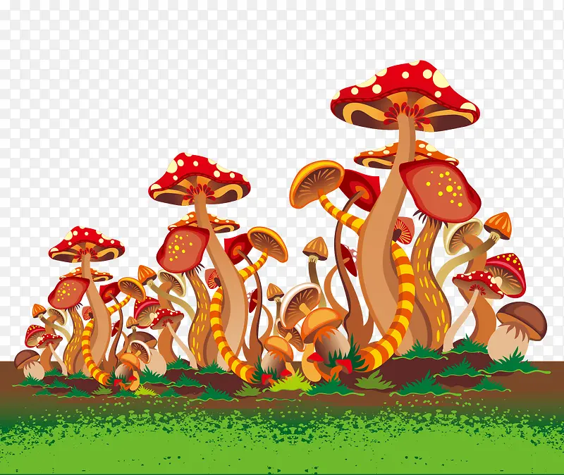蘑菇丛林