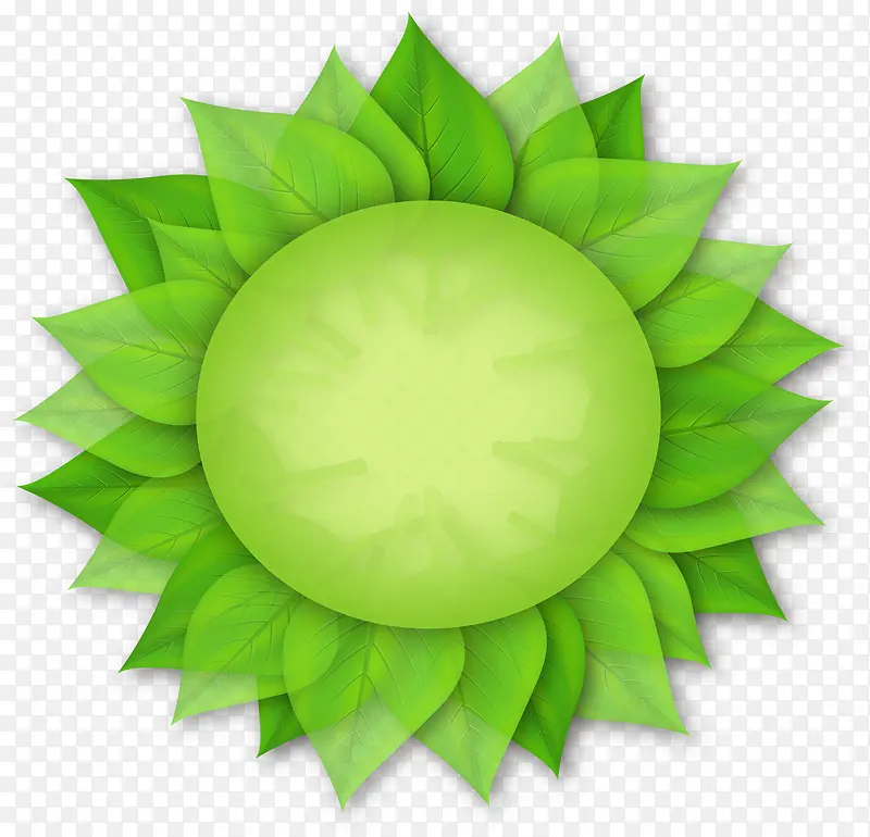 绿色卡通可爱树叶太阳造型