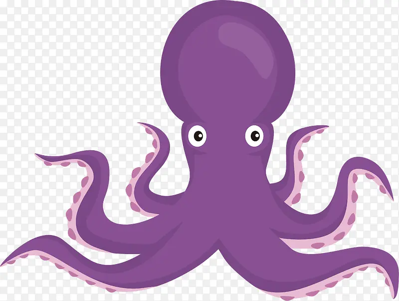 紫色大章鱼