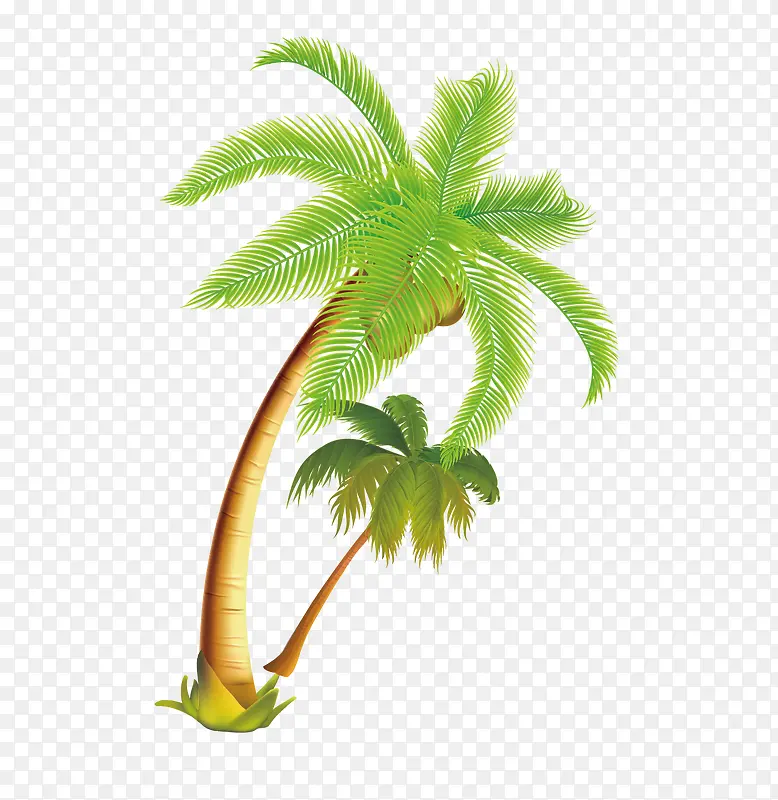 热带椰子树矢量素材