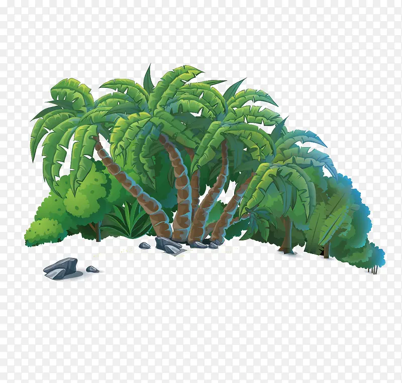 热带茂盛的椰子树