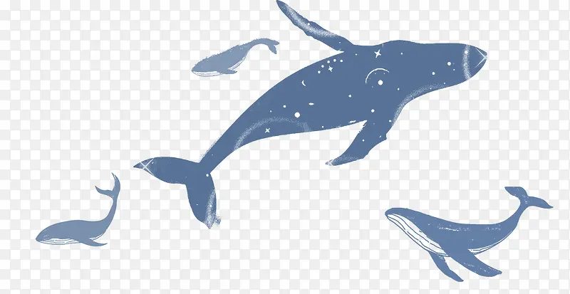 手绘梦幻海洋装饰插图海豚鲸鱼插