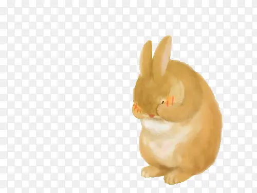 害羞的黄色兔子卡通
