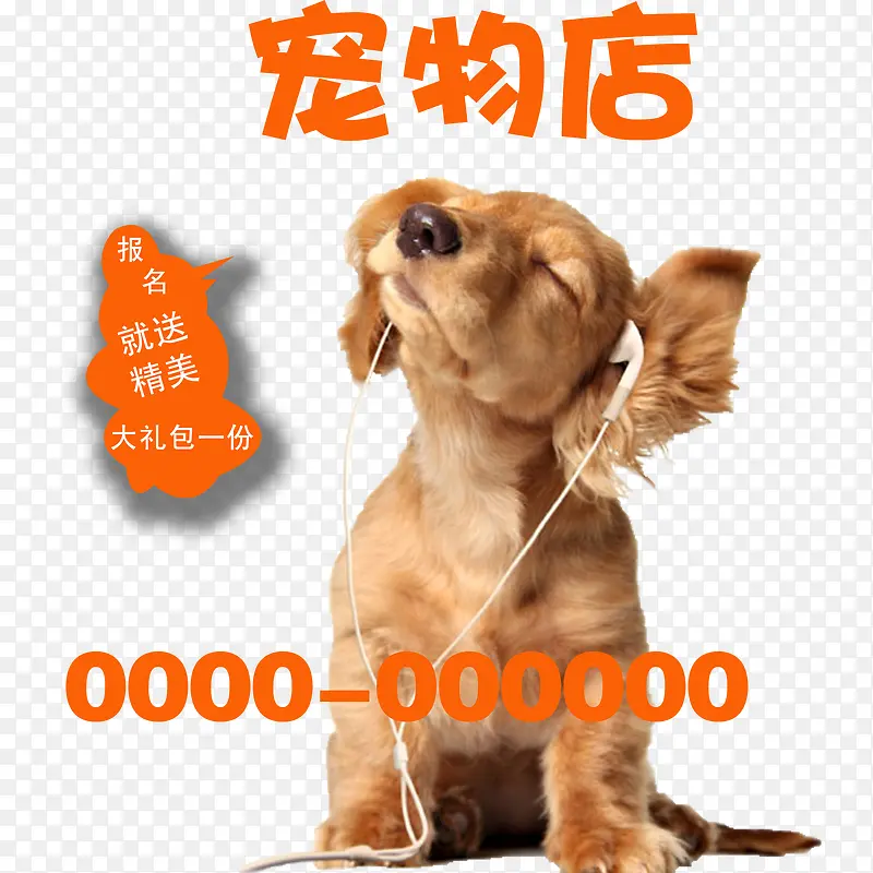 宠物店宣传单狗狗